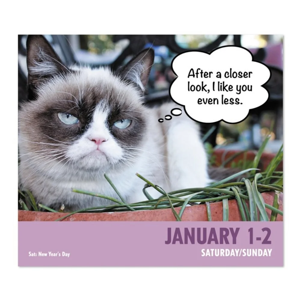Grumpy cat 2022 calendar